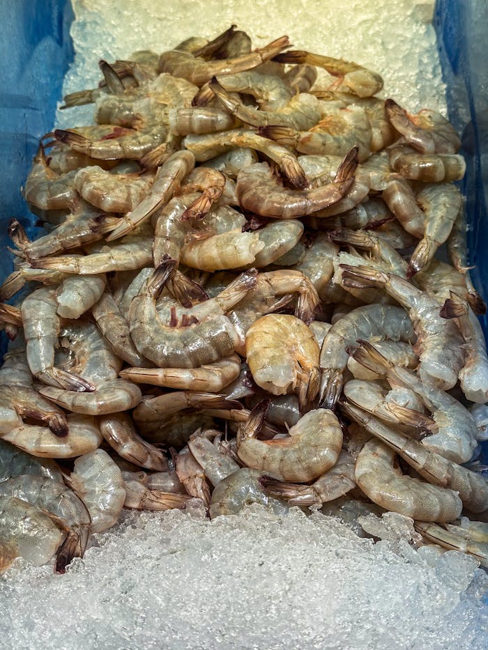 our-story A pile of raw shrimp displayed on ice in a seafood market setting.