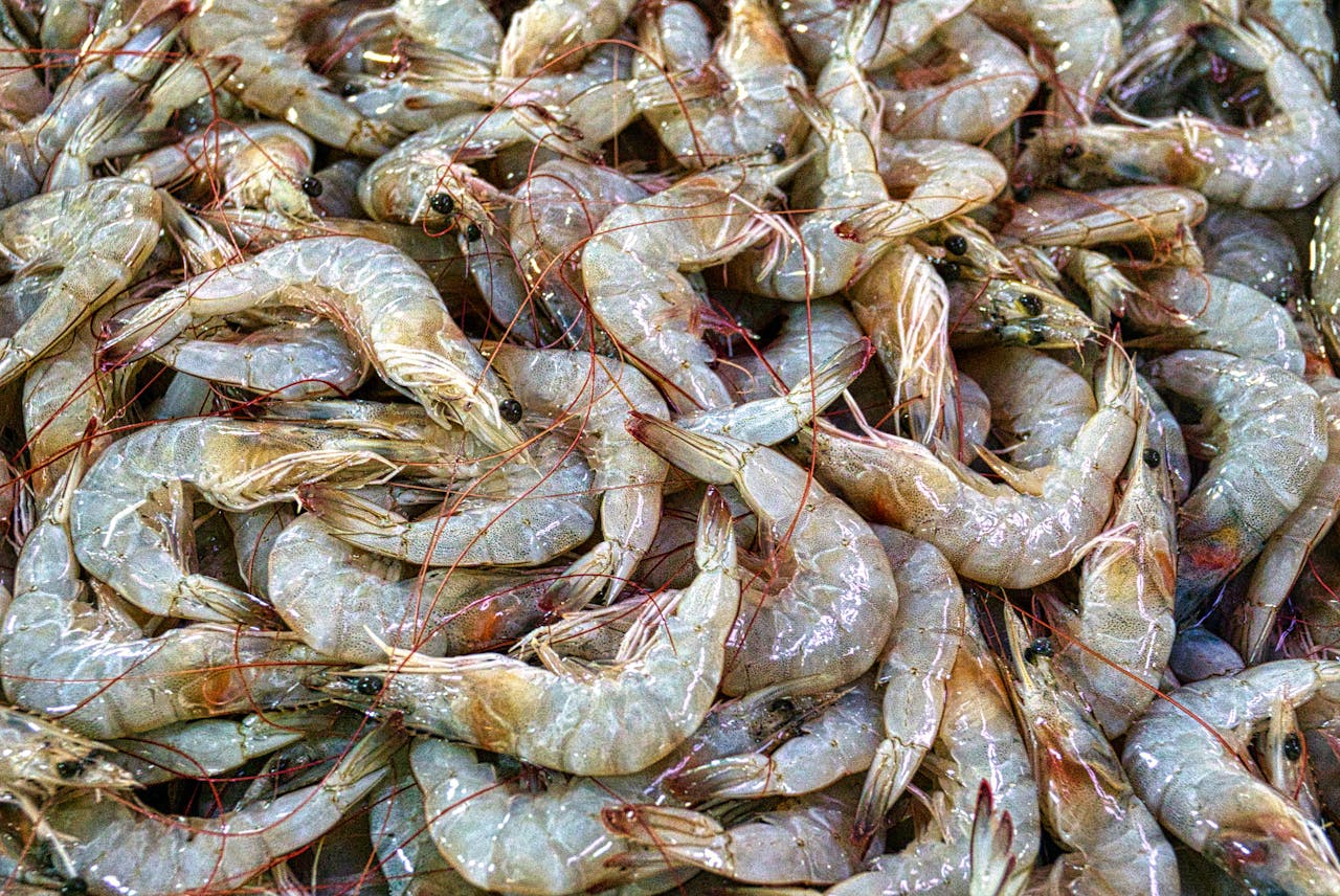 who-we-are A close-up of fresh raw prawns displayed at a seafood market in Banten, Indonesia.