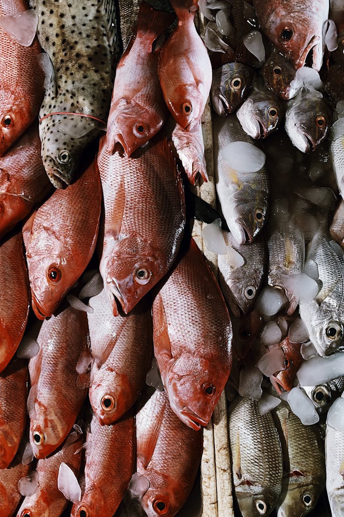services-02 A variety of fresh fish displayed on ice at a market stall, ready for sale.