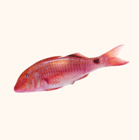 red mullet