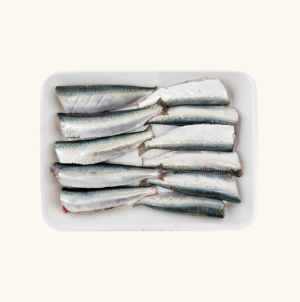 sardine fillet sardine fillet