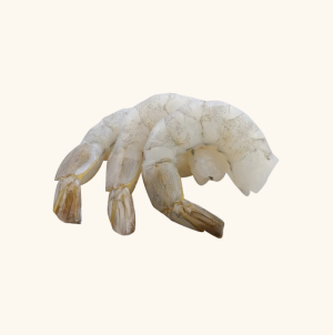 shrimp pto shrimp pto