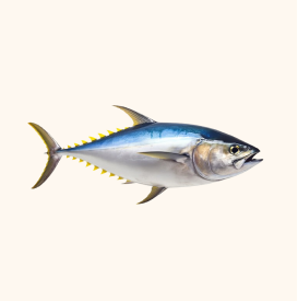 tuna