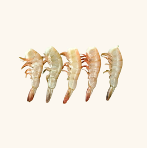 wild shrimp hlso wild shrimp hlso